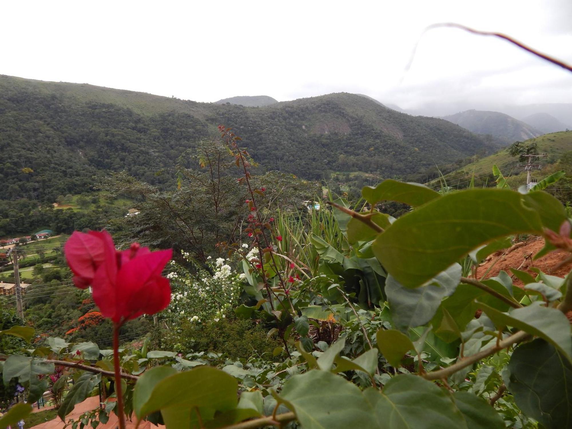 Pousada Quinta Do Alto Itaipava 部屋 写真